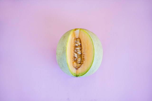  fruit of paradise melon