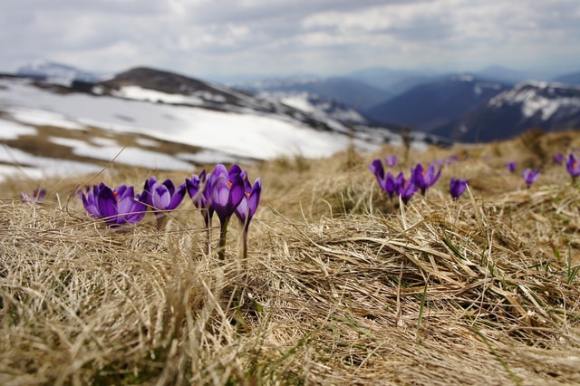 Suffer from spring asthenia