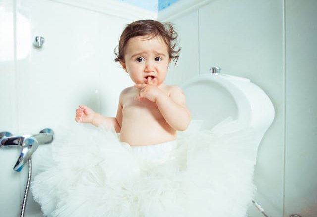 What is the Meaning of Toilet Training?