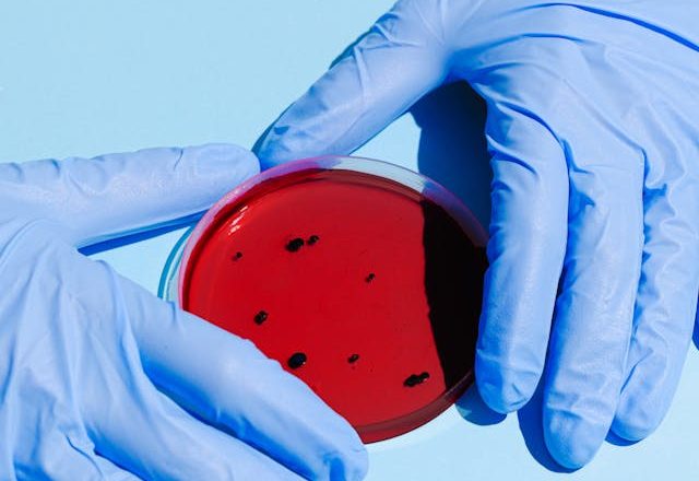 Virusos: Understanding Viruses, Symptoms, Treatments, and Prevention