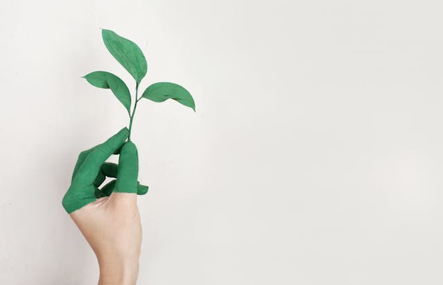 Sustainable Cropping Systems Lab Cornell: Eco-Friendly Farming Solutions