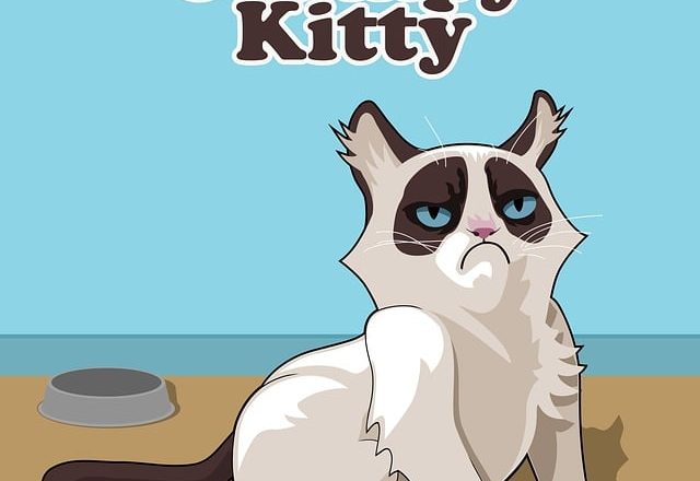 Purevita Grain Free Chicken & Peas Entree Dry Cat Food