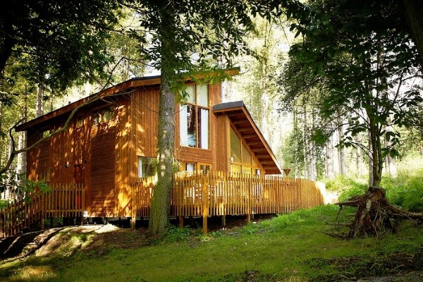 Forest Holidays Opens its Newest Luxury Cabin Site at Blackwood Forest in Hampshire